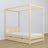 Lit pin incolore avec baldaquin – tiroir na dodatkowy matelas, en bois
