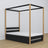 Lit noir-chêne avec baldaquin – tiroir na dodatkowy matelas, en bois